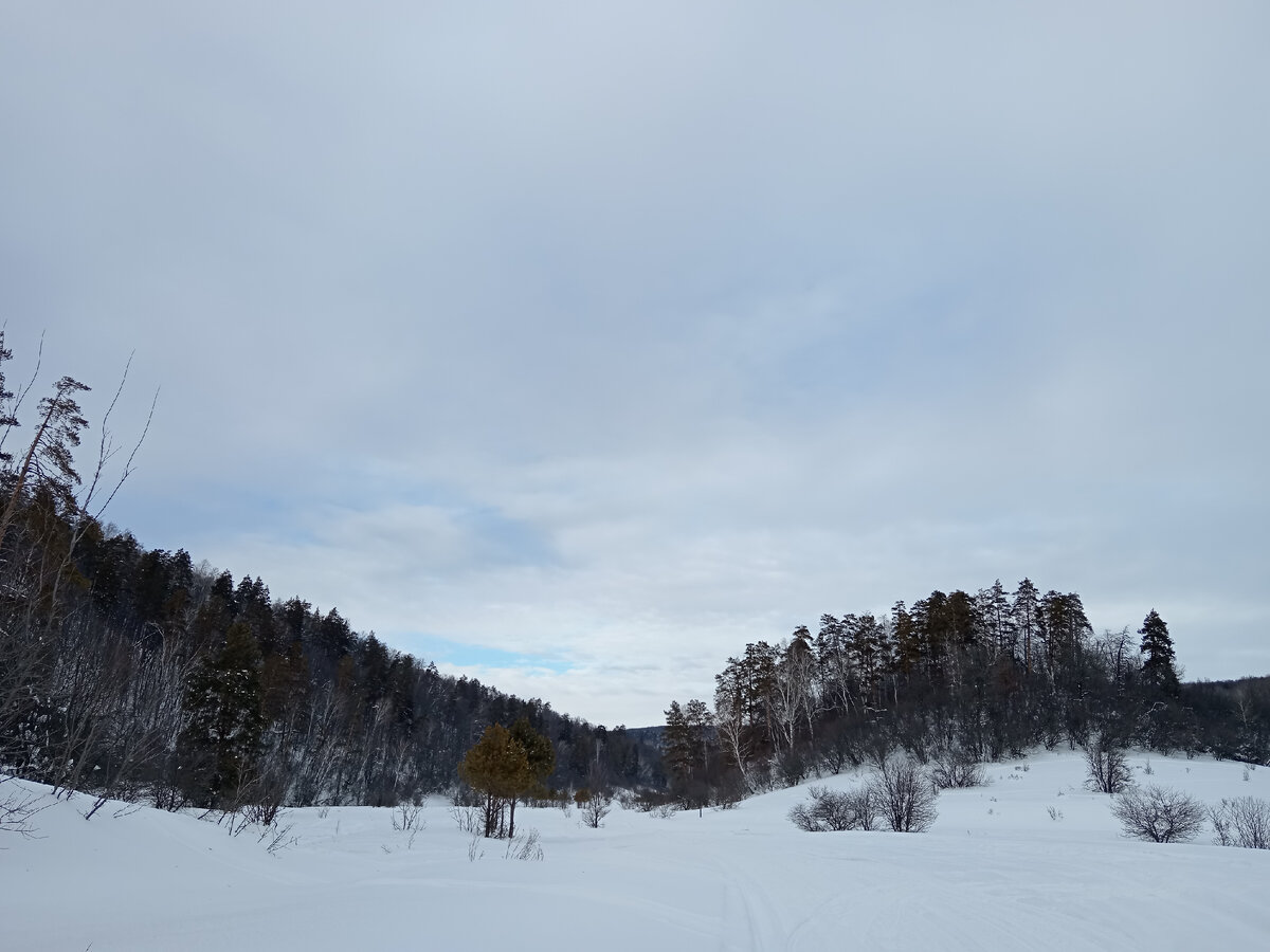 Ширяевский овраг 17.02.2024.