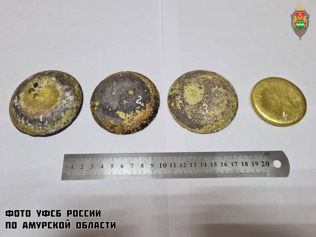    Фото: УФСБ по Амурской области