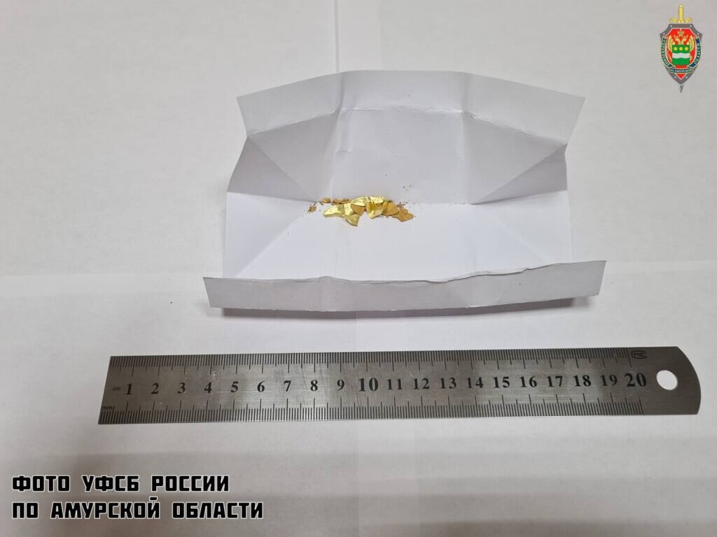    Фото: УФСБ по Амурской области
