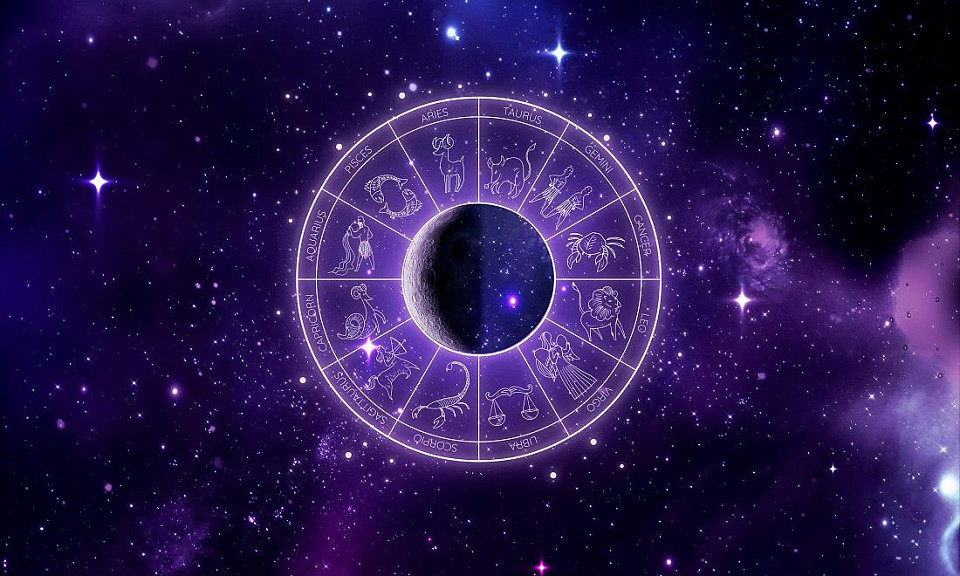 Фото: ru.freepik.com