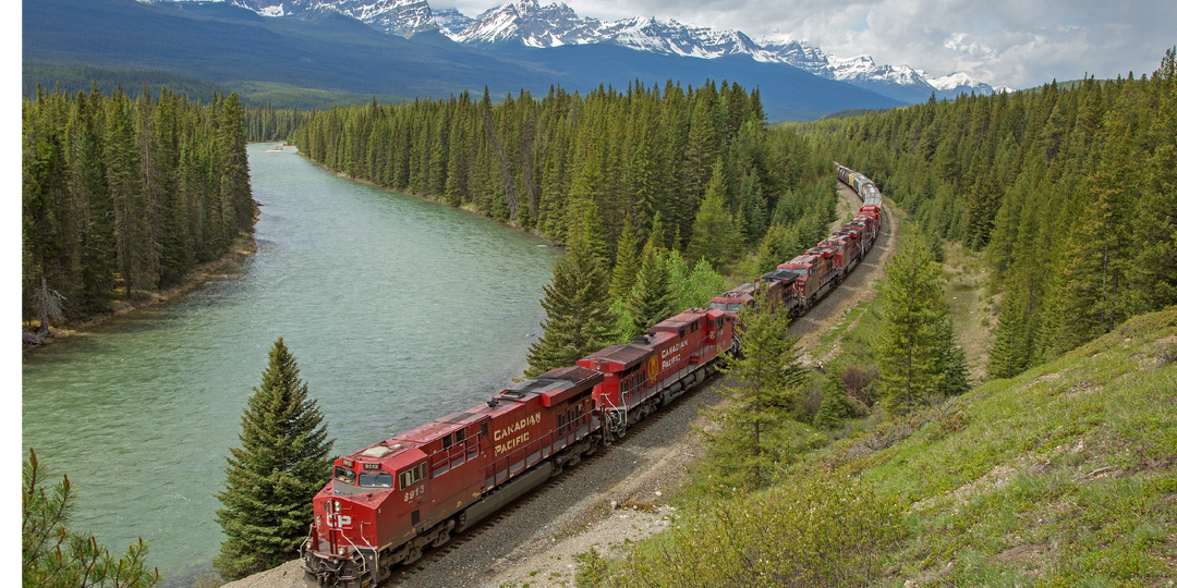 Попутчики Глава 1