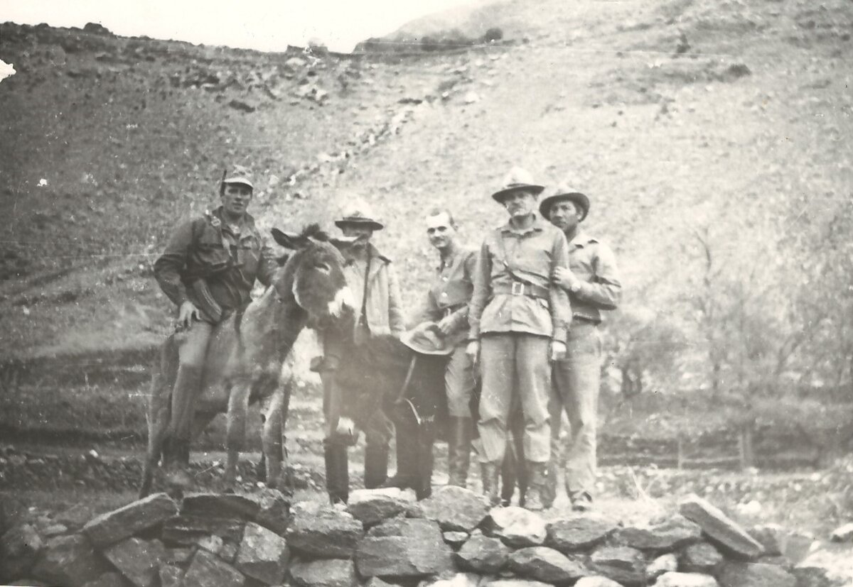 Вася диагност 2. Васи 10 6. Tape c. Васи 10 6. Васи 10 6.