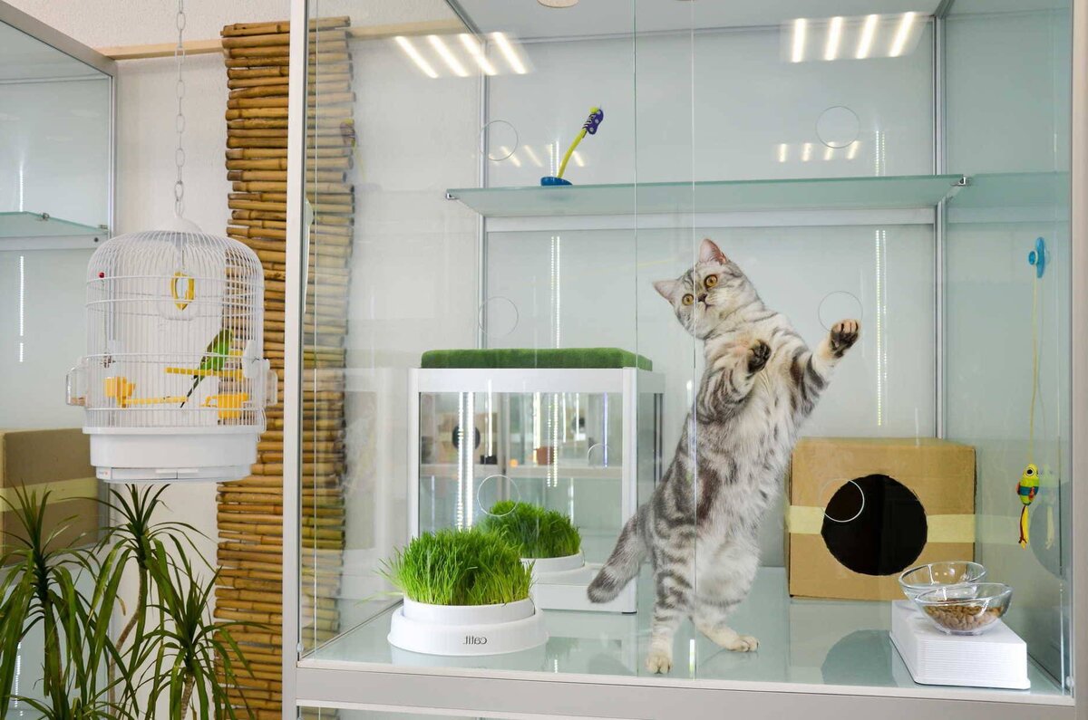 Зоогостиница