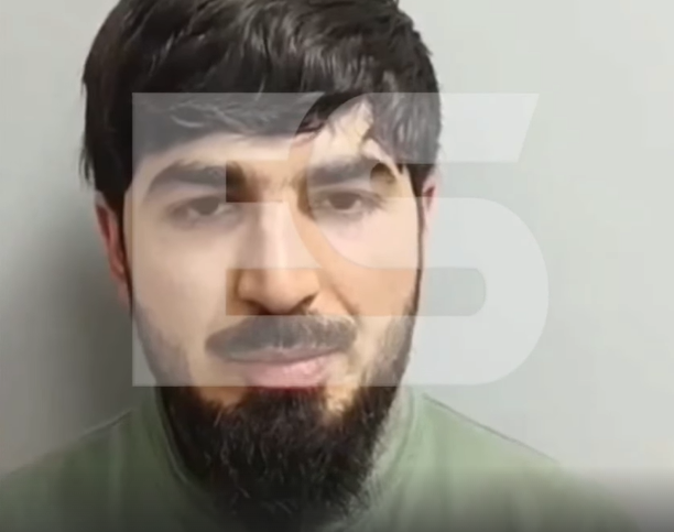 все изображения из открытых источников