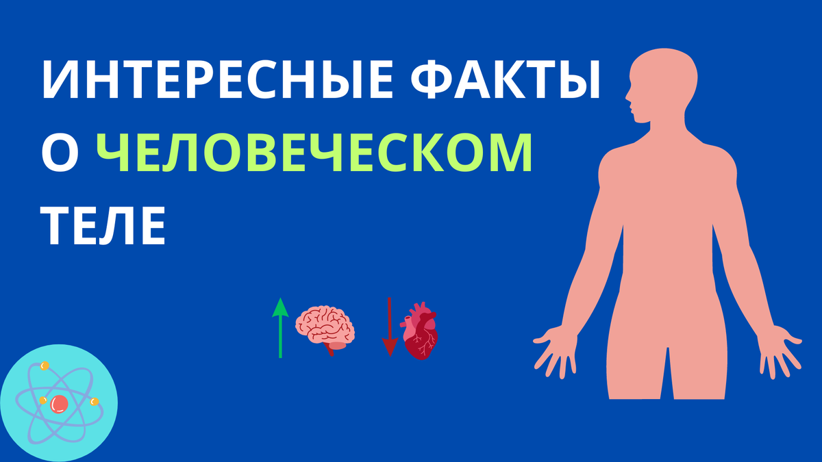 тайны человеческого организма