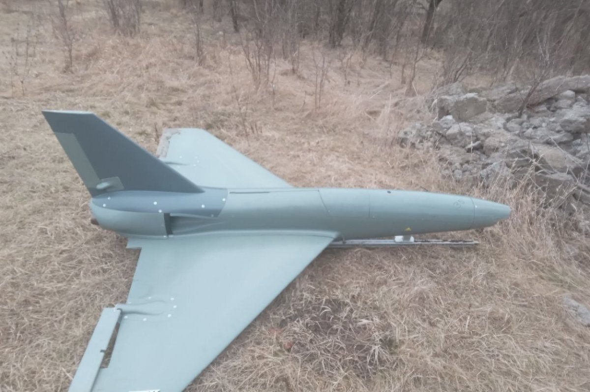    Пушилин: в ДНР перехватили британский дрон-камикадзе Banshee Jet-80