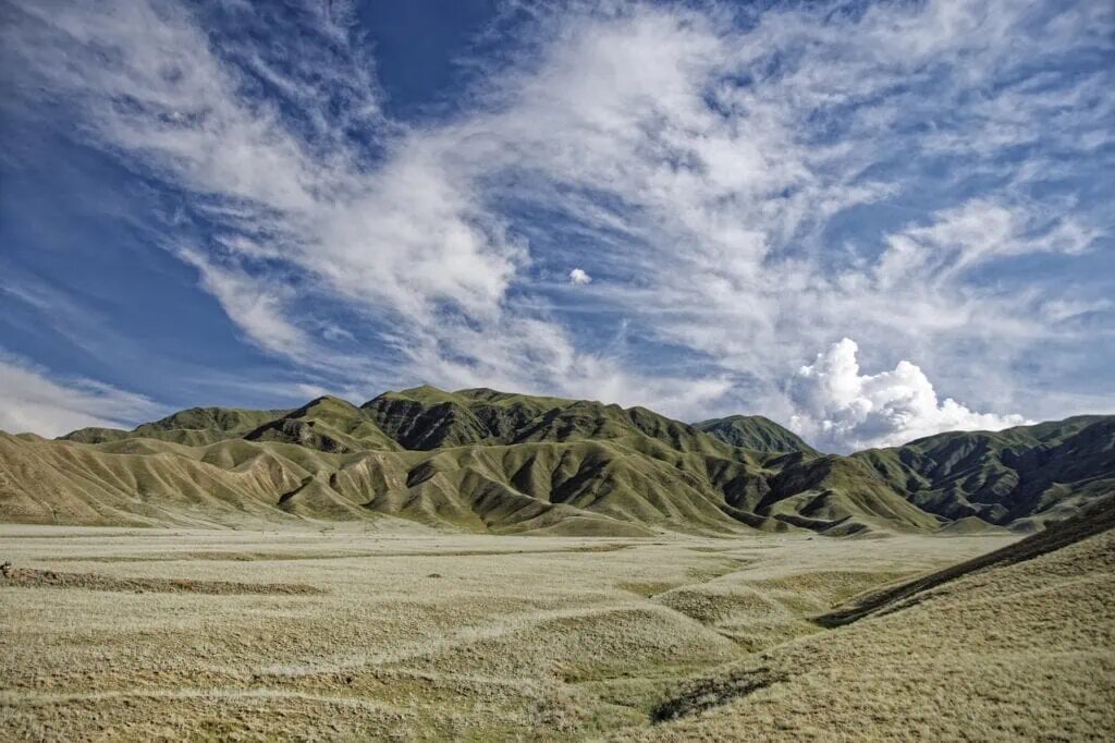    Фото: pixabay Данияр Кунафин