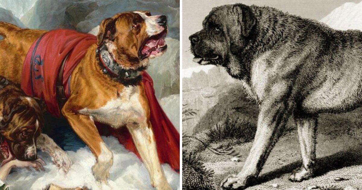 Edwin Henry Landseer / bauhaus1000