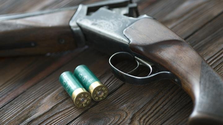 Фото: globallookpress.com/Nikolay Gyngazov