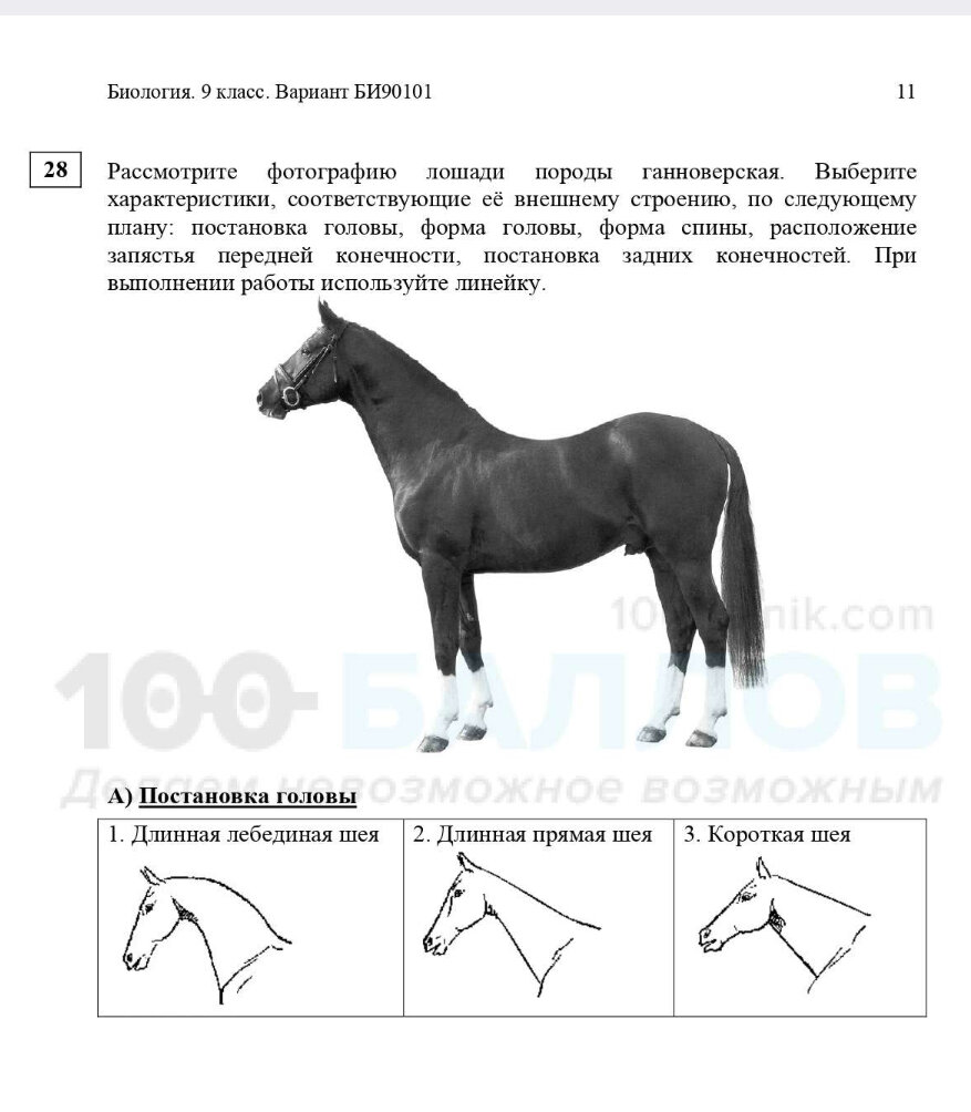 сборник по русскому языку 9 класс огэ 2022 цыбулько. русский язык огэ 2021 егораева ответы. огэ русский 9 класс 2024 егораева ответы. огэ 2022 русский язык васильевых. 22 вариант егэ русский 2022.