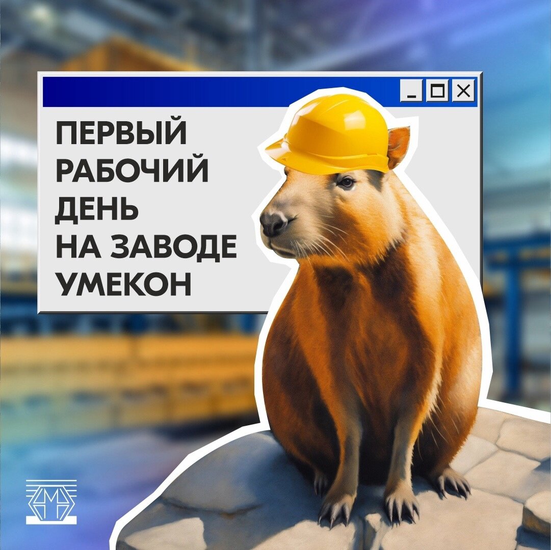 Листайте ленту!
