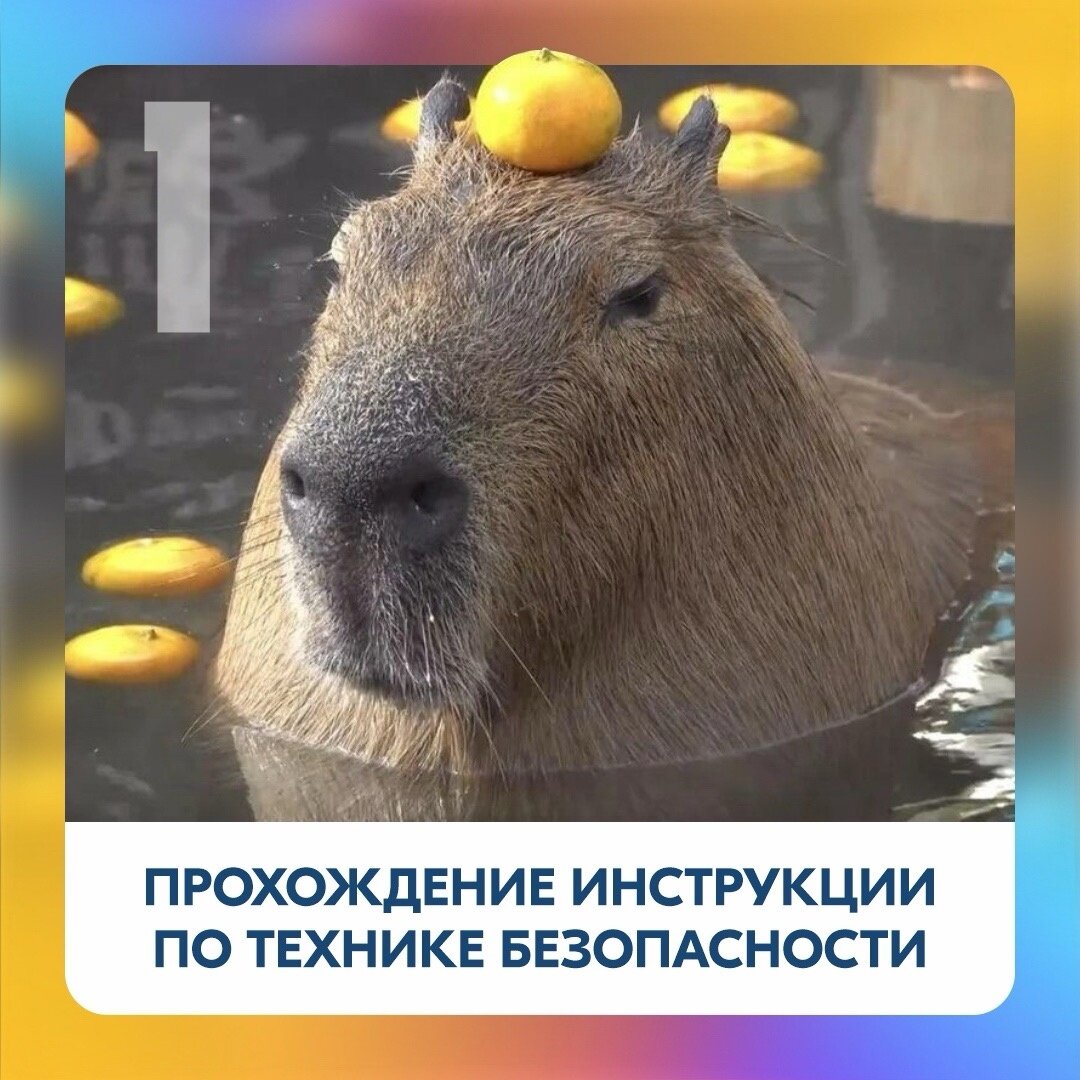 -1-2