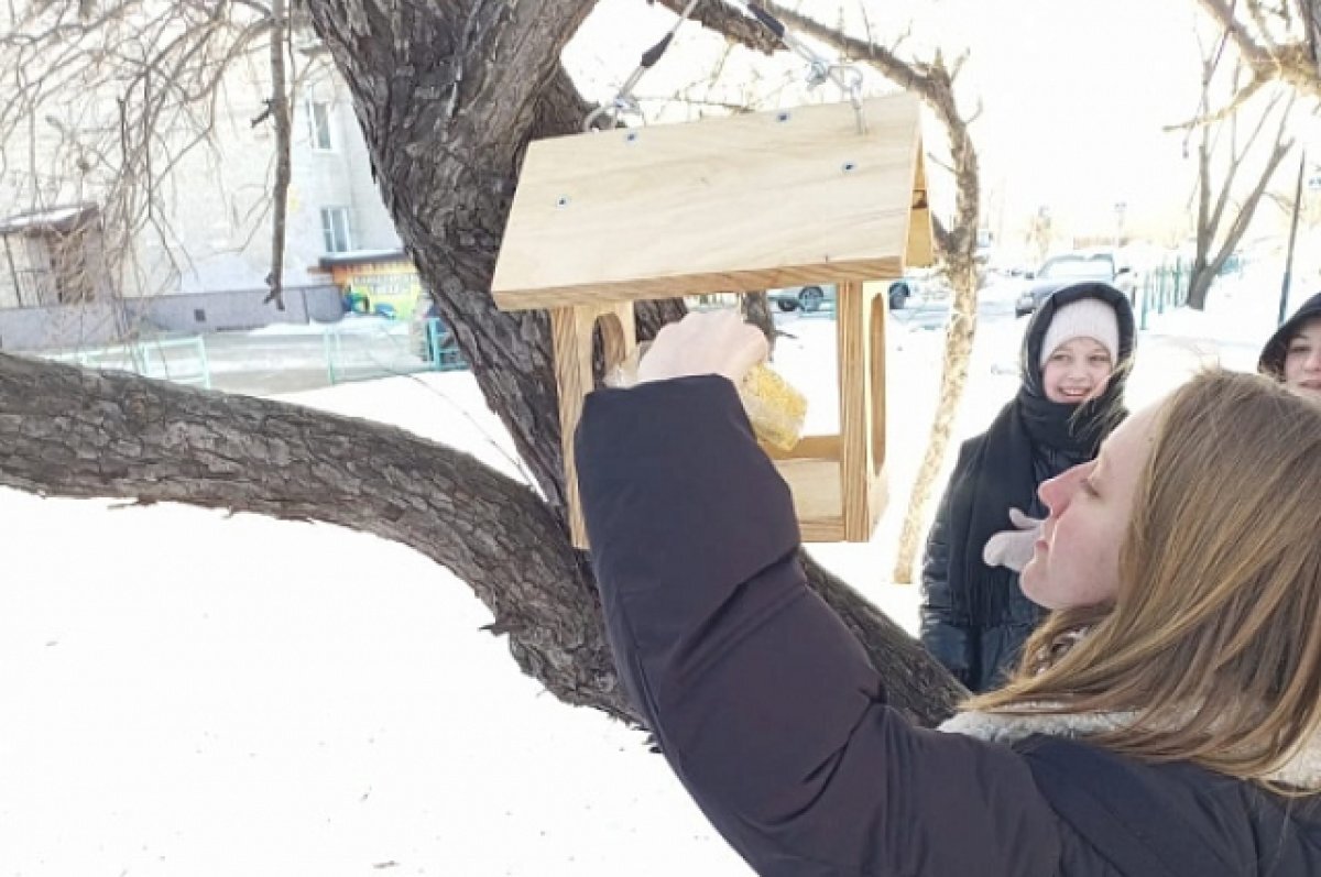    Школьники накормили птиц в хабаровском сквере
