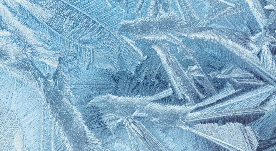 Фото: unsplash.com