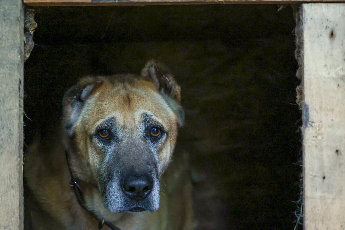 Сергей Петров|Globallookpress