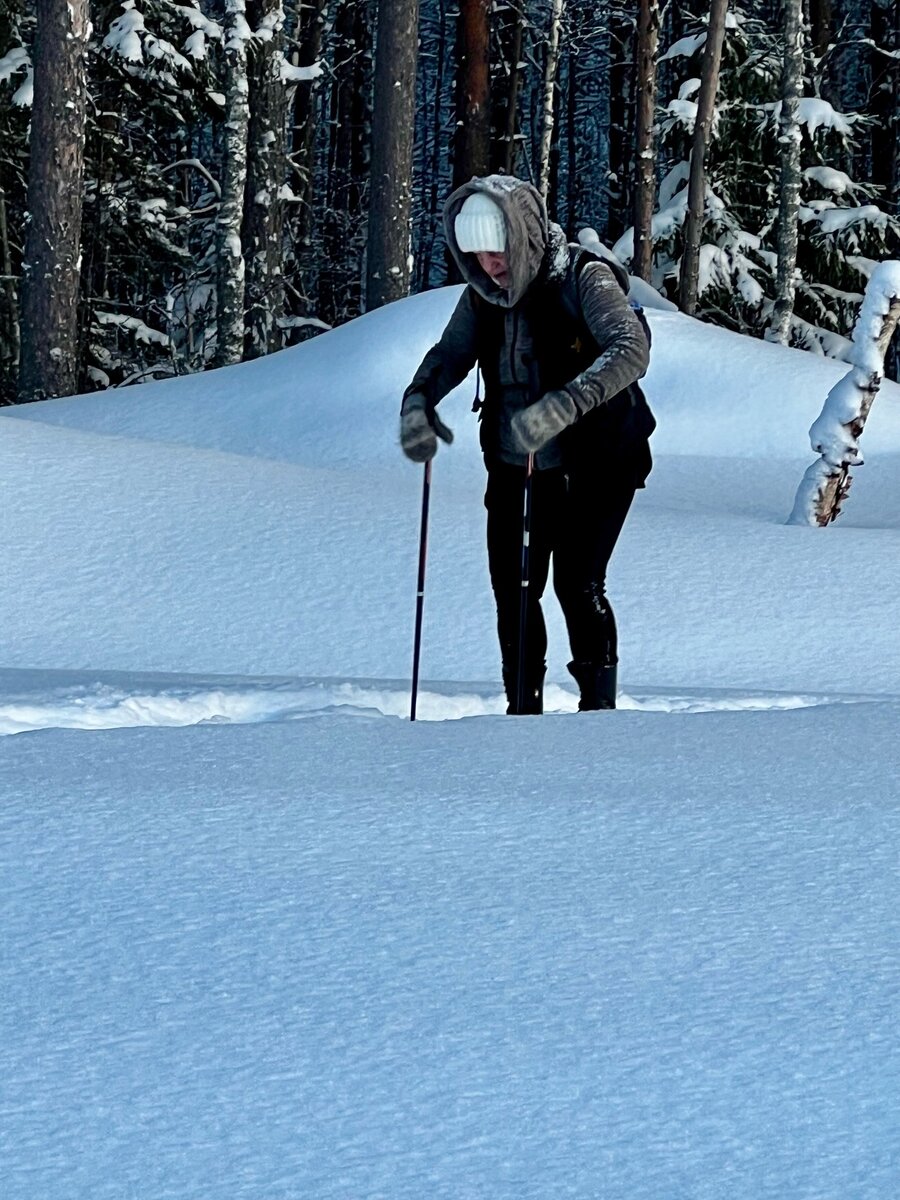 В Карелии 8-летняя девочка спасла пенсионерку, которая заблудилась в ...
