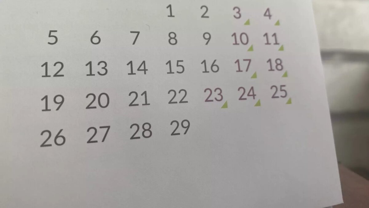     Жители Татарстана получат дополнительный выходной день в связи с празднованием Дня защитника Отечества. О нерабочем днем стало известно еще из праздничного календаря, опубликованном министерством труда России.