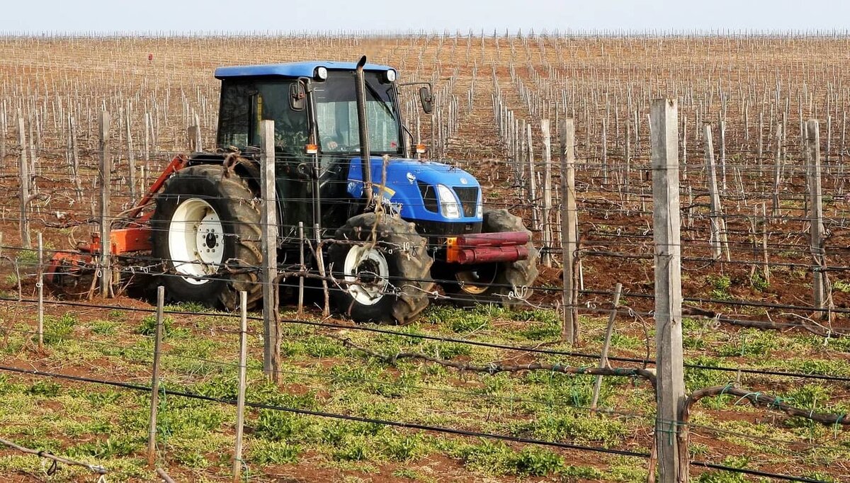 Фото: РИА "Новости" (https://cdnn1.img.crimea.ria.ru/img/100257/33/1002573337_0:0:2404:1353_640x0_80_0_0_411da38fc94d03c74c6b6798897e76b7.jpg.webp)