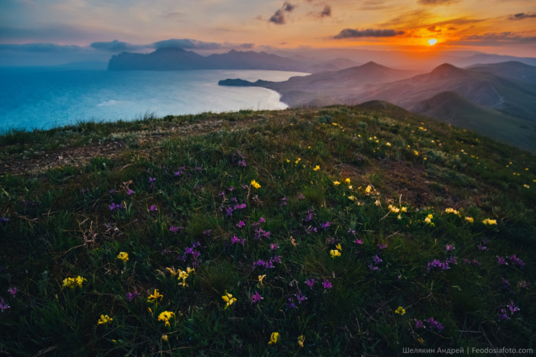 Картинка из интернета