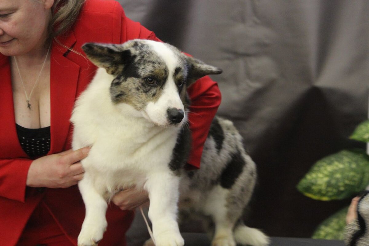 Листайте вправо, чтобы увидеть больше изображений