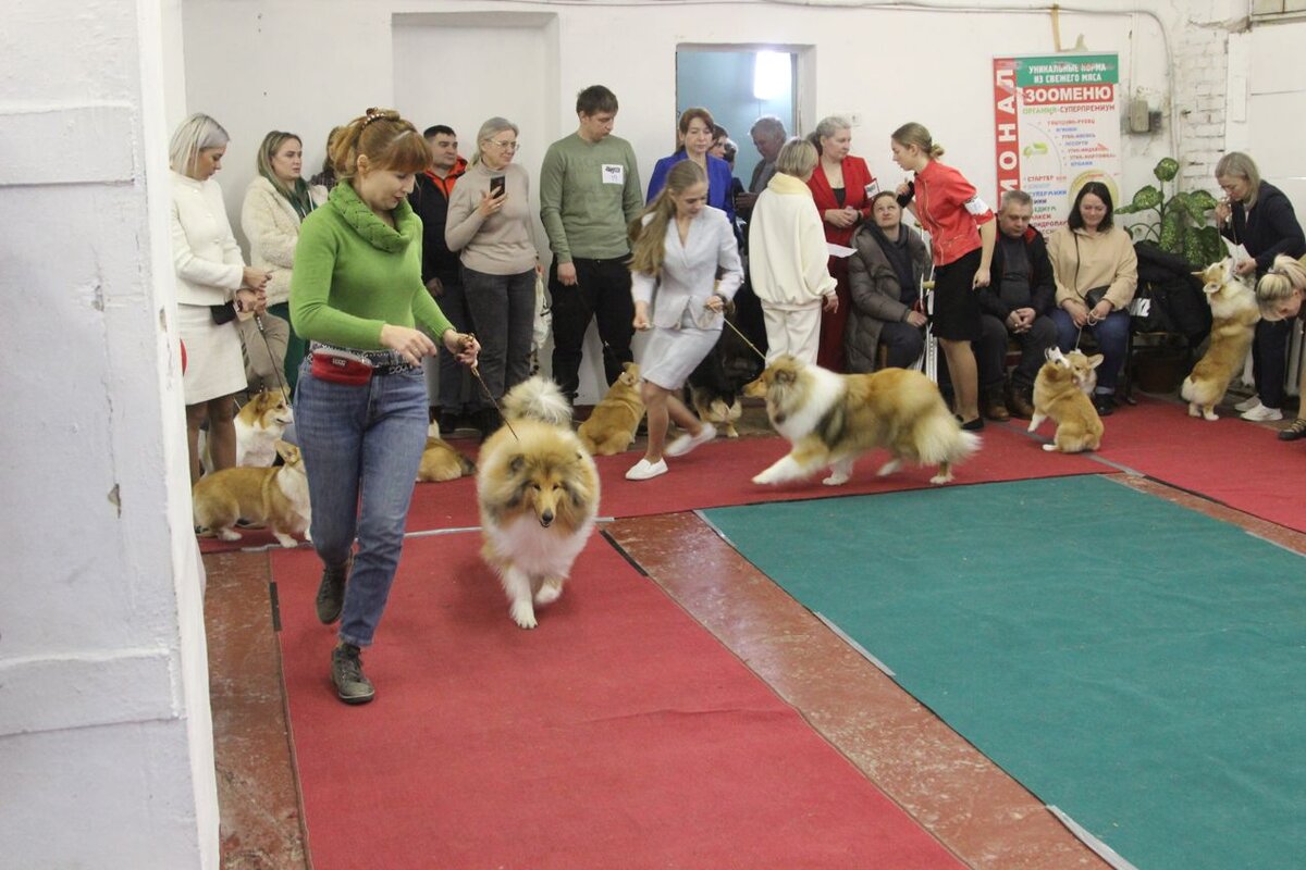 Листайте вправо, чтобы увидеть больше изображений