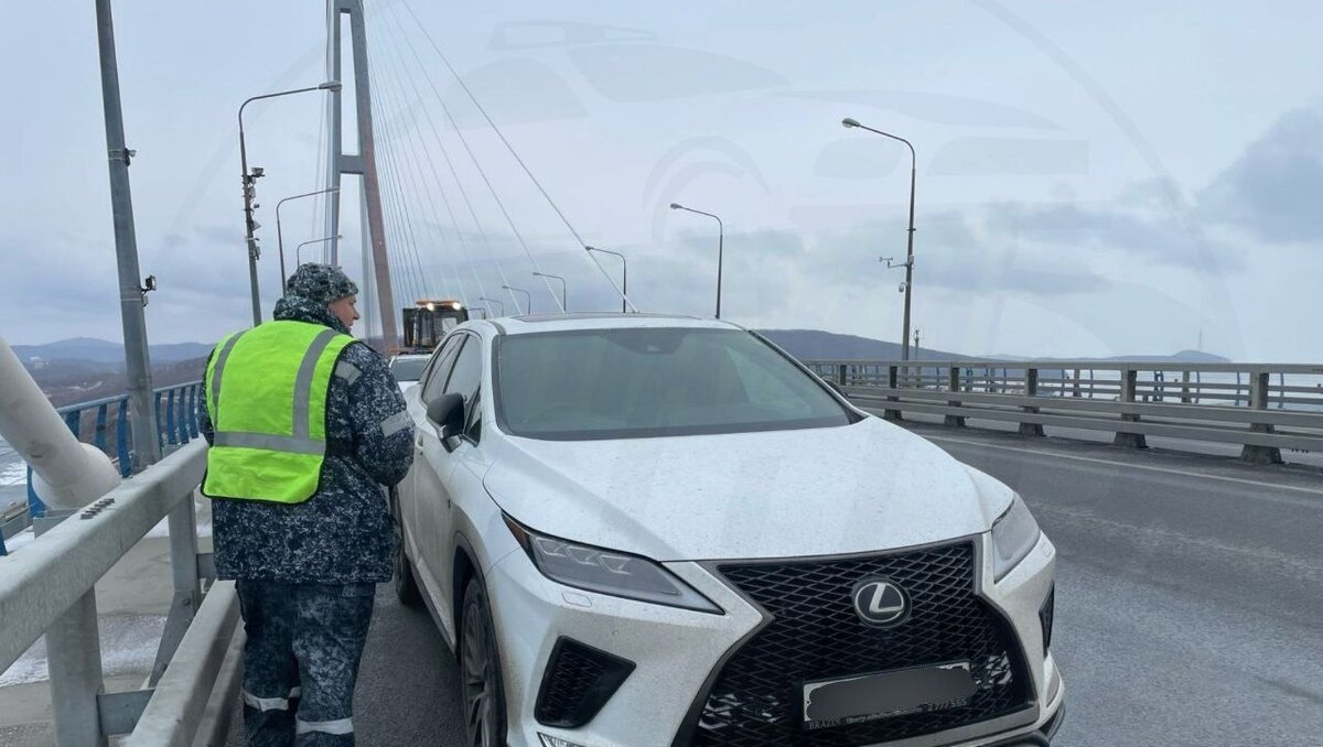 Полиция инициировала проверку после сообщения о падении с моста —  комментарий ГАИ | Восток-Медиа | Дзен