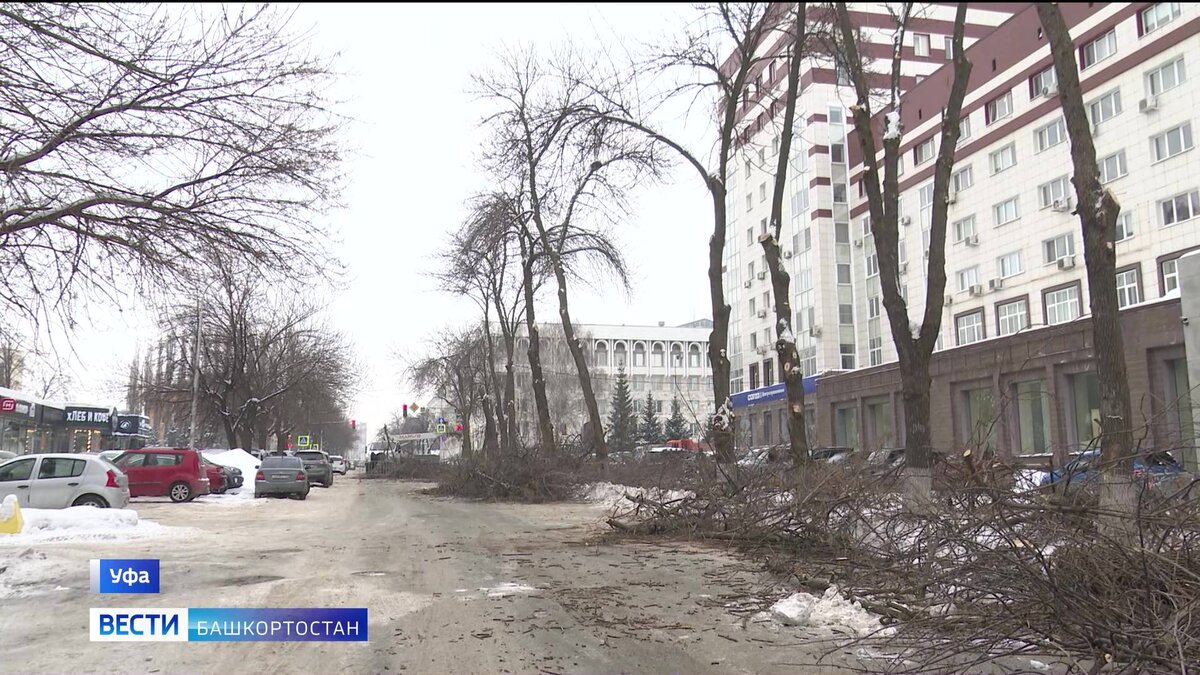    В Уфе до 17 часов перекрыли участок улицы Чернышевского