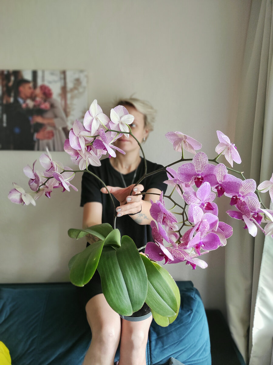 В максимальном роспуске, 40 цветочков, 5 веточек