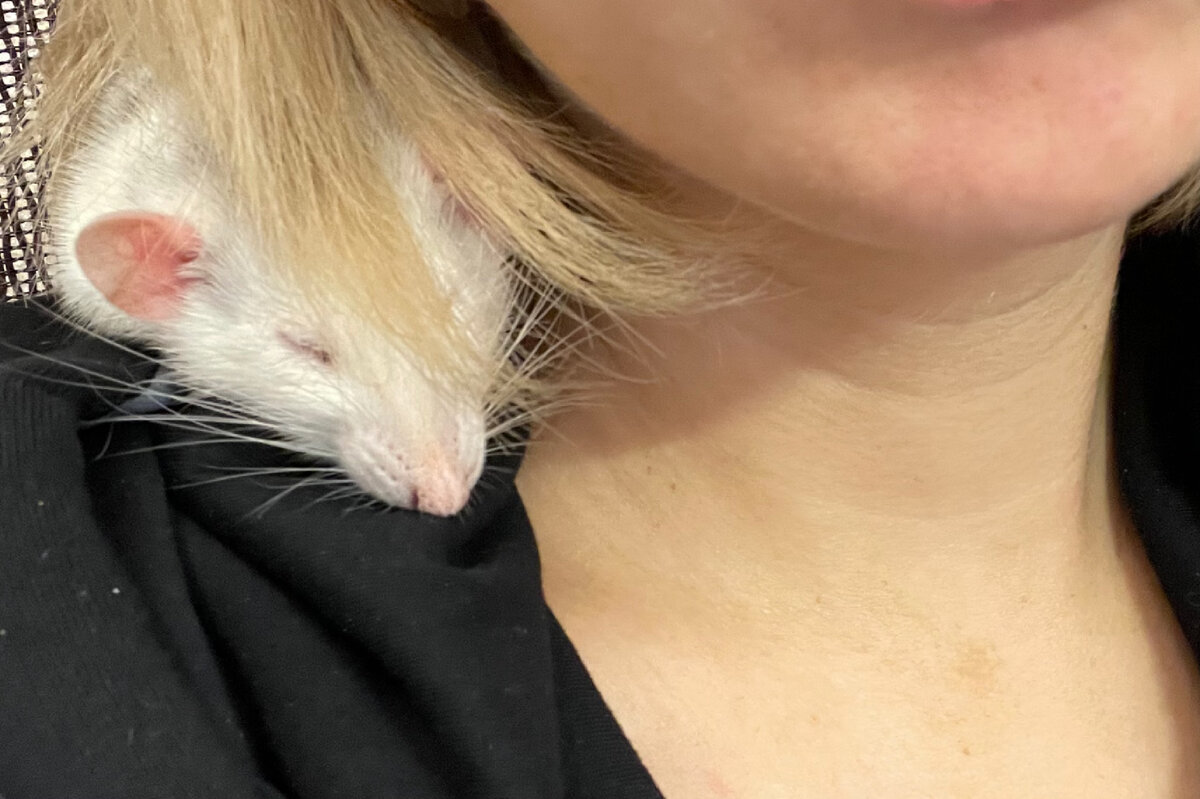 Но девочки тоже могут быть такими же ленивыми носами))