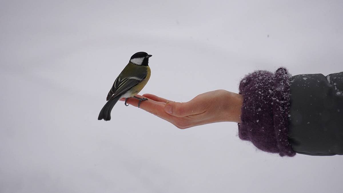   Фото: Анатолий Цымбалюк / Вечерняя Москва