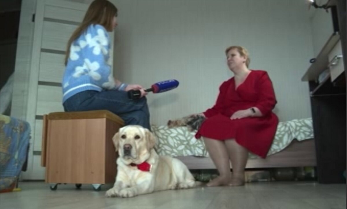    Как собаки-поводыри помогают курянам