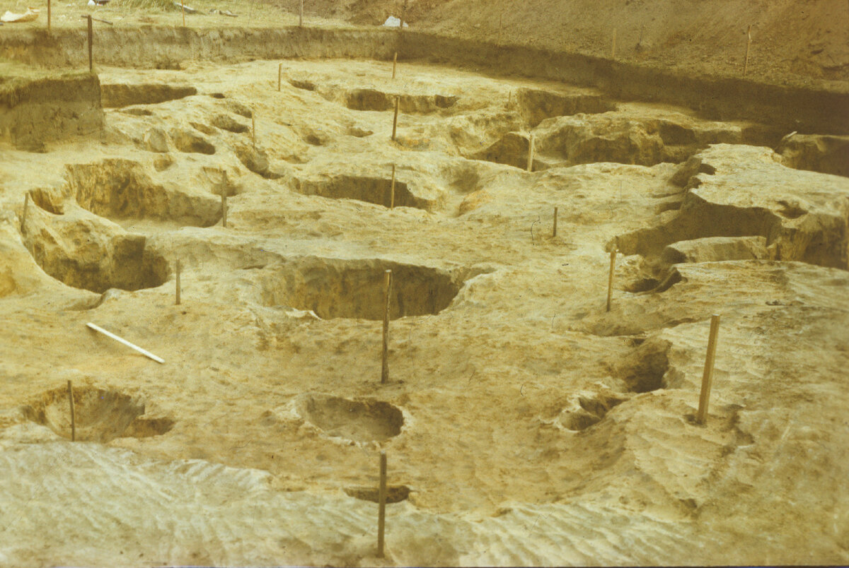 Большой дом столбовой конструкции V в. н.э. Городище Старая Майна Ульяновской области