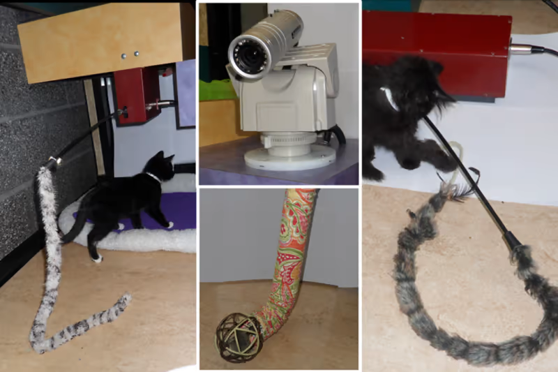 iPet Companion - это система, которая позволяет пользователям Интернета удаленно играть с кошками, живущими в приютах для животных, через свои компьютеры и в режиме реального времени. Apriori Control