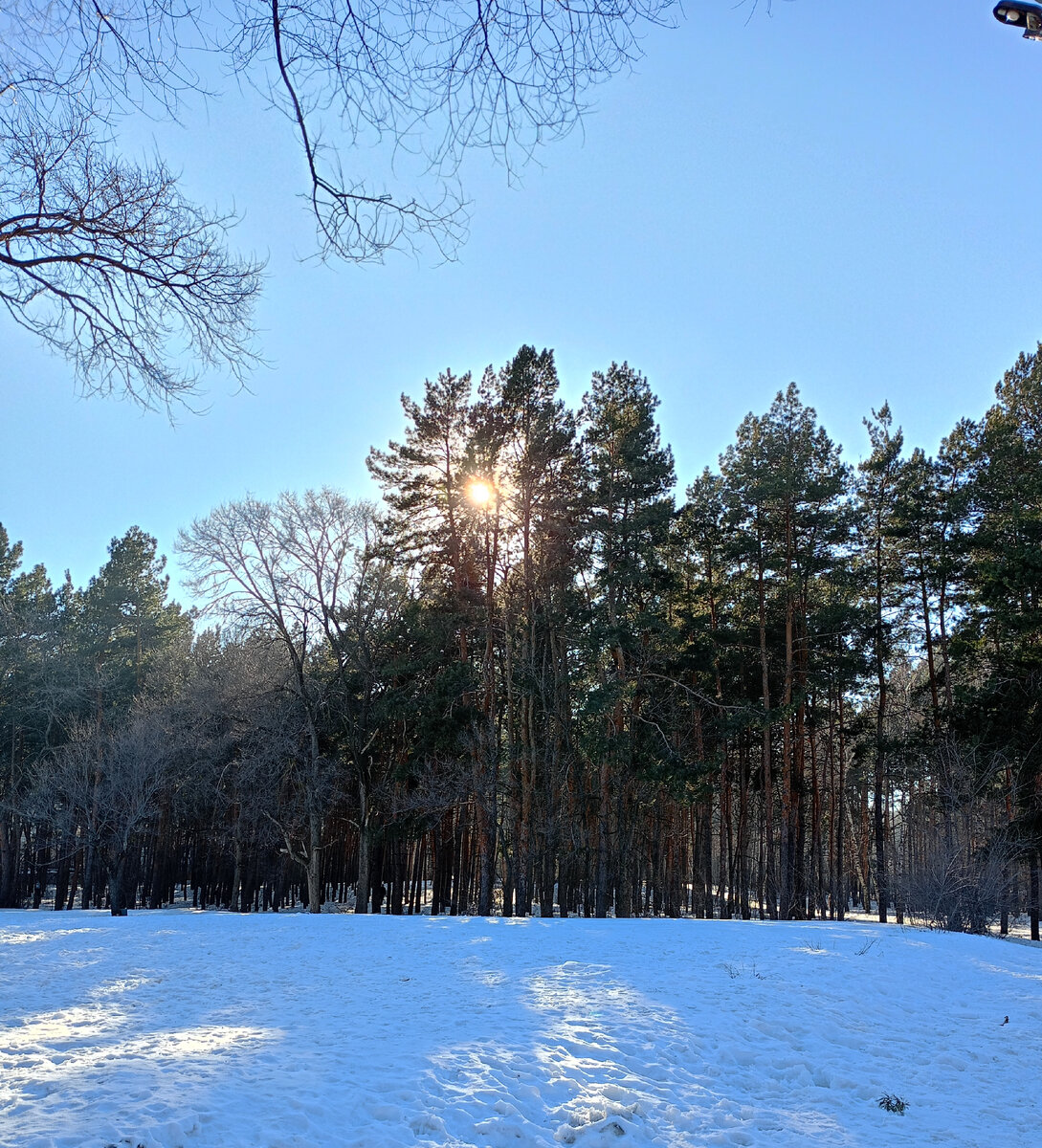 Зима на финише. Иммунитет ослаблен? 