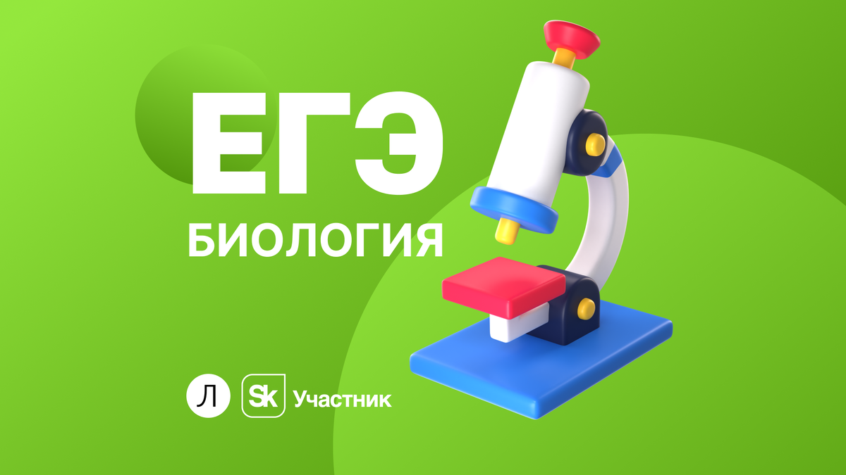 Как сдать ЕГЭ по биологии в 2024 году? Расскажем все, что должен знать  выпускник | Завуч Полина | Поступление в вуз | Дзен