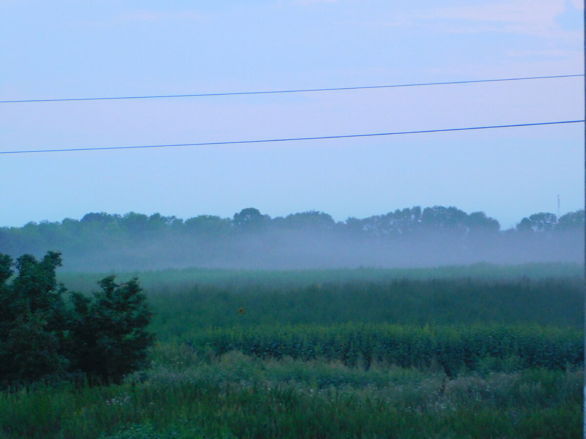фото автора канала