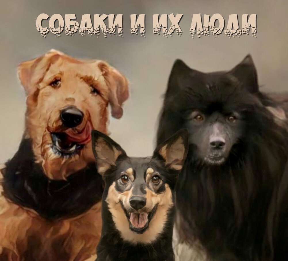 На фото: подкаст "Собаки и их люди", выпуск 8: Как выбрать породу собаки. Психолог, зоопсихолог, кинолог Екатерина Кастрицкая, консультации онлайн