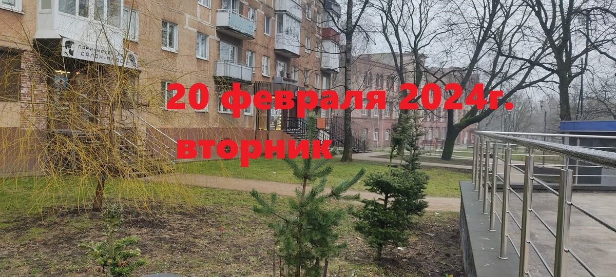 Февраль 2024 г. Калининград 