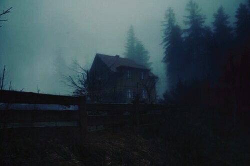 Фото с открытых источников Яндекс