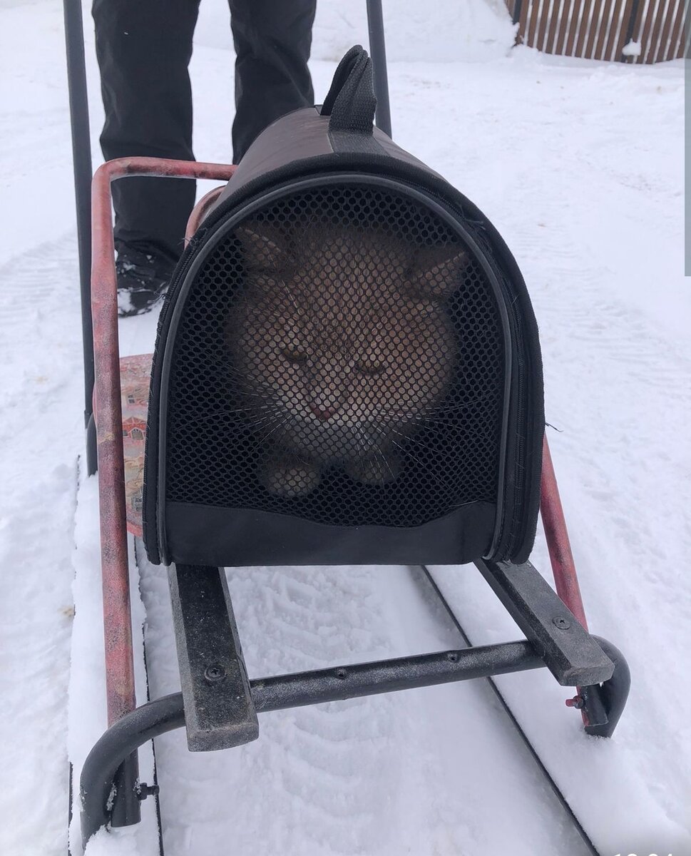 Мы едем-едем-едем