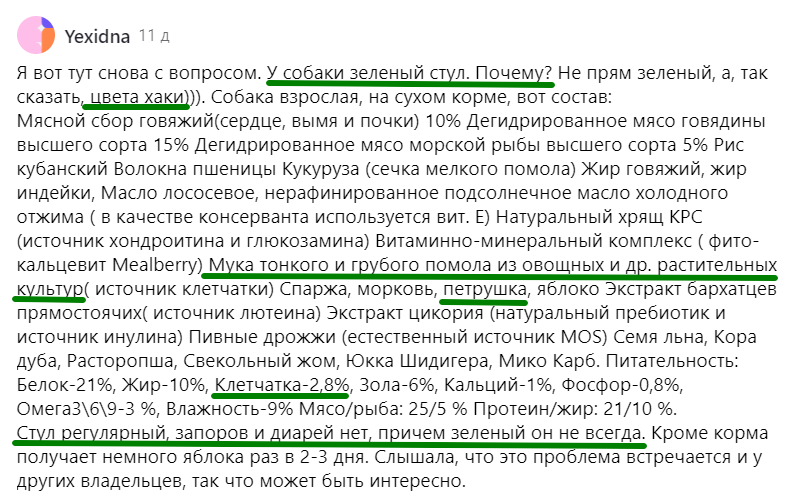 У собаки стул с кровью: причины и лечение