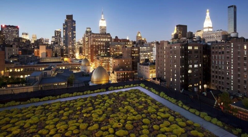   Graham Hill / Wikimedia Commons