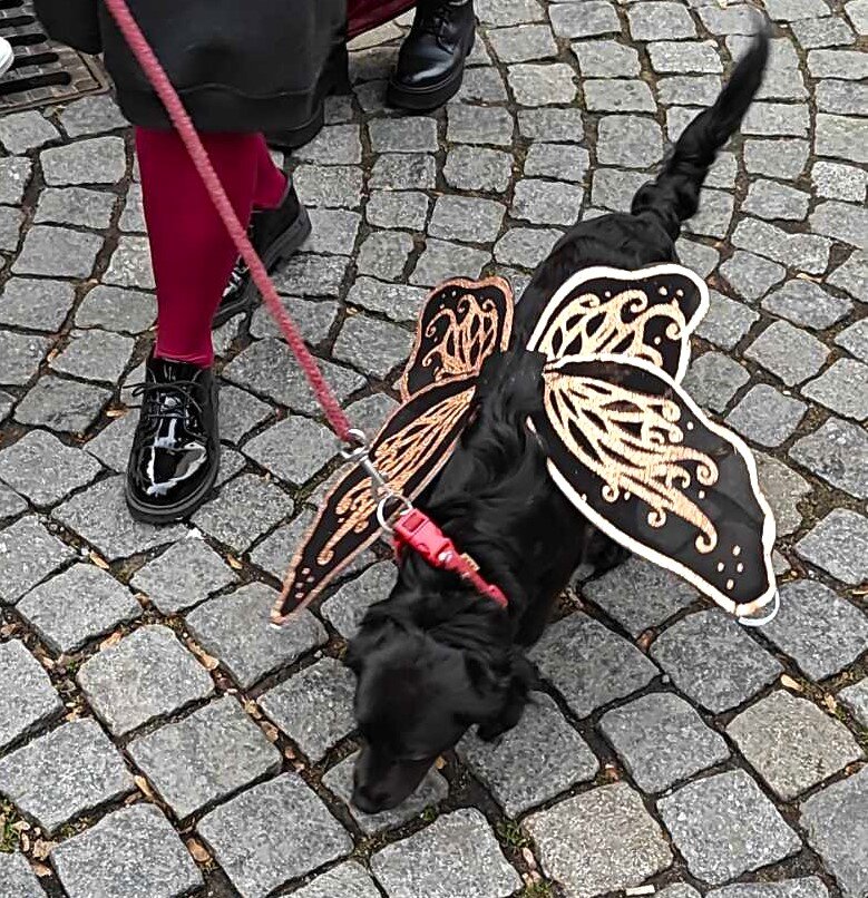 Когда нынче масленица 2024. Когда нынче масленица 2024. Широкая масленица. Рассказ о масленице. Название масленичной недели.