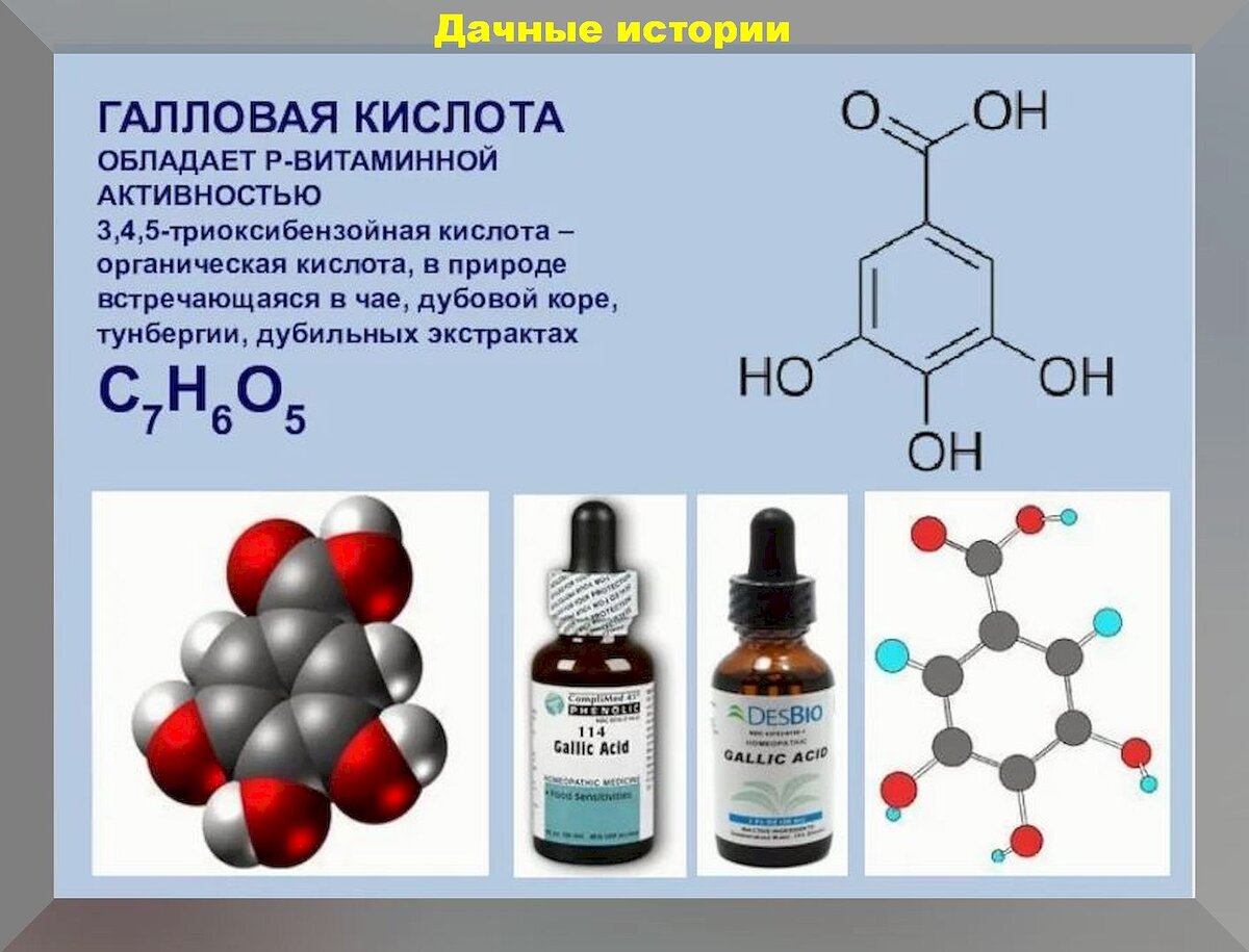 Галловая кислота своими руками: как правильно приготовить биопрепарат из  галловой кислоты для защиты растений от болезней | Дачные истории | Дзен