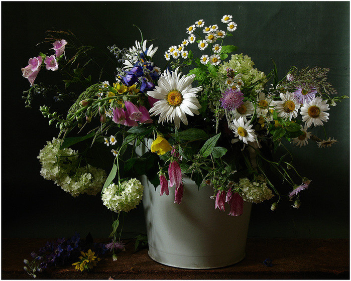 Картинка найдена на просторах интернета, ссылка: https://yandex.ru/images/search?from=tabbar&img_url=https%3A%2F%2Fomiliya.org%2Fsites%2Fdefault%2Ffiles%2Fstyles%2Flarge%2Fpublic%2Fimg_materials%2F989790.jpg%3Fitok%3D97UWrCoZ&lr=103814&pos=22&rpt=simage&text=%D0%BF%D0%BE%D0%BB%D0%B5%D0%B2%D1%8B%D0%B5%20%D1%86%D0%B2%D0%B5%D1%82%D1%8B%20%D0%BD%D0%B0%D1%82%D1%8E%D1%80%D0%BC%D0%BE%D1%80%D1%82%20%D1%84%D0%BE%D1%82%D0%BE%20%D0%BA%D1%80%D0%B0%D1%81%D0%B8%D0%B2%D1%8B%D0%B5%20%D0%BA%D1%80%D1%83%D0%BF%D0%BD%D1%8B%D0%BC%20%D0%BF%D0%BB%D0%B0%D0%BD%D0%BE%D0%BC