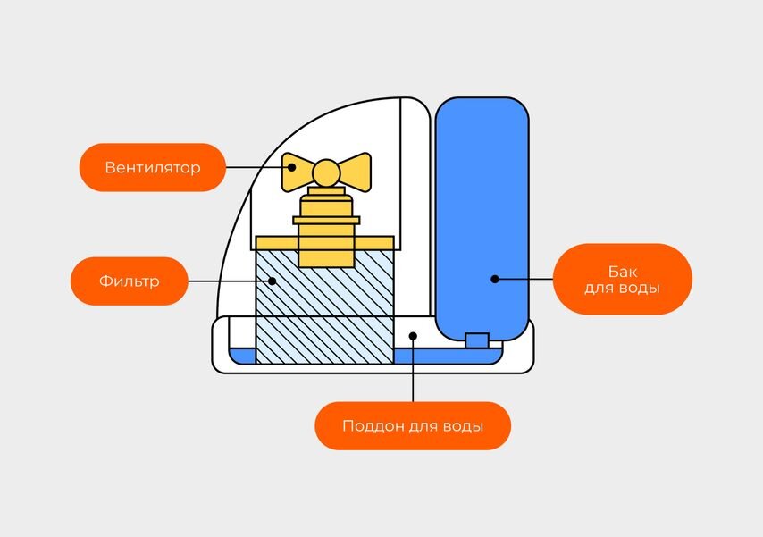 В увлажнителе любого типа бактерии и плесень обычно появляются на фильтре, в поддоне и баке для воды
