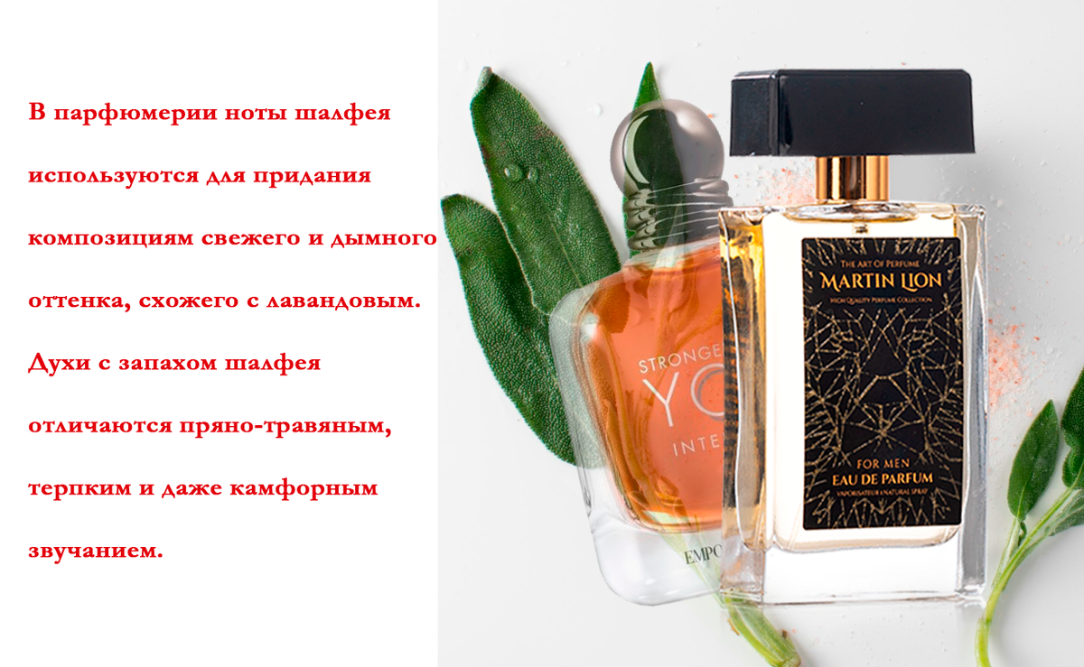 Ноты свежих ароматов
