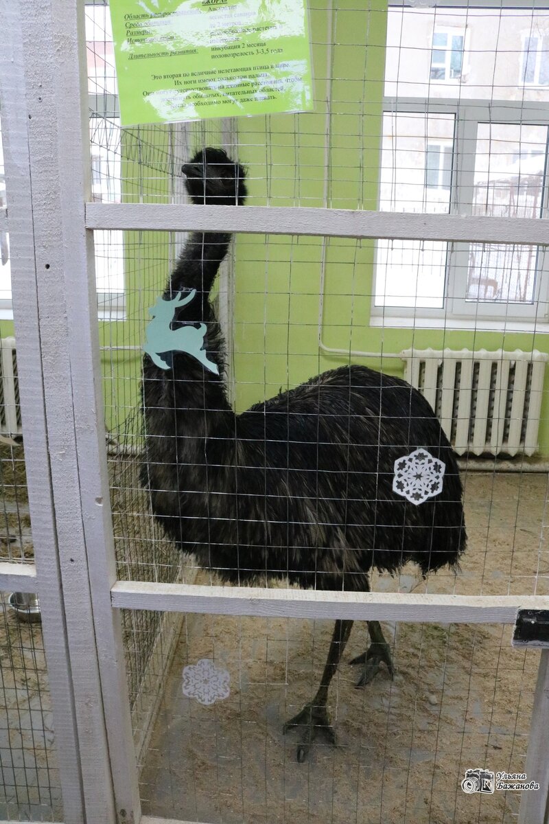 Фото Ульяны Бажановой