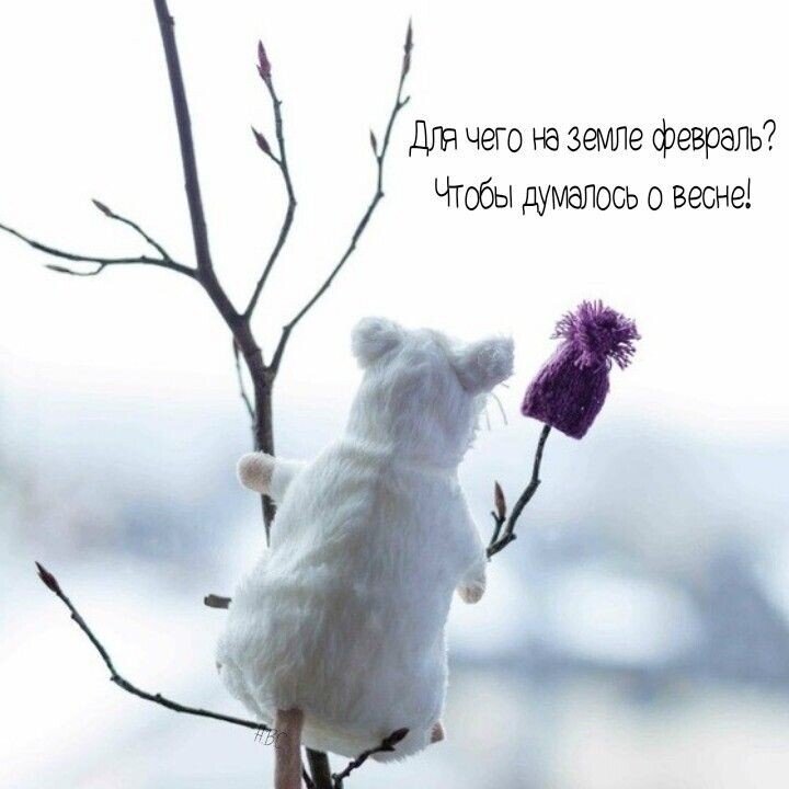 5 минут. 5 минут закончилась. 5 минут закончилась. Шутки про операторов. Поздравление с окончанием смены.