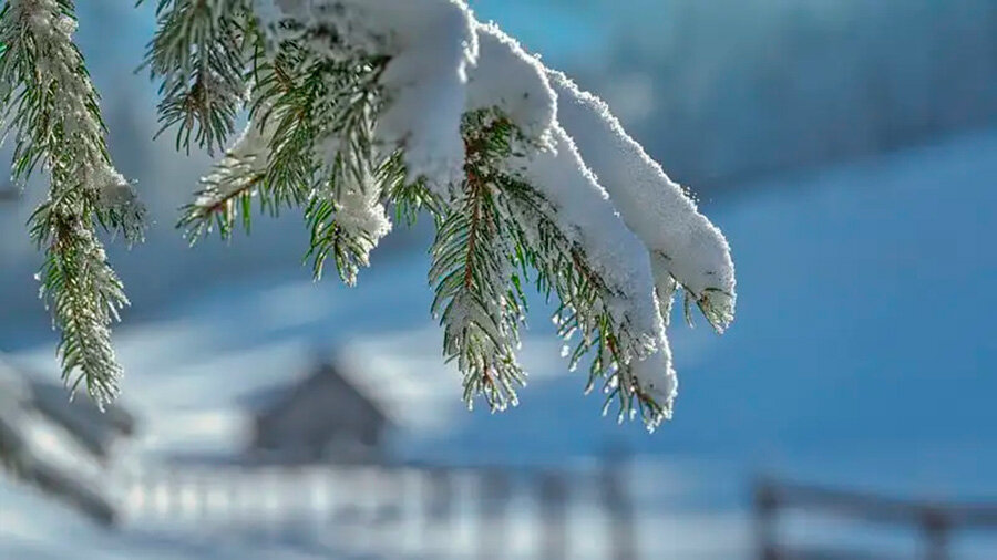     Оранжевый уровень опасности объявлен в Беларуси 20 февраля из-за гололедицы
